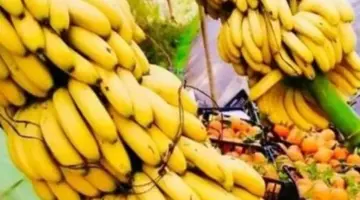 أسعار الفاكهة بالأسواق والمحال بالأقصر اليوم الأحد.. الموز بلدي بـ 35 جنيها